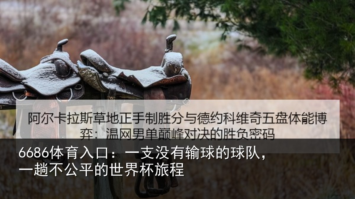 6686体育入口：一支没有输球的球队，一趟不公平的世界杯旅程